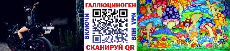 Псилоцибиновые грибы Psilocybe KRAKEN сайт Кстово